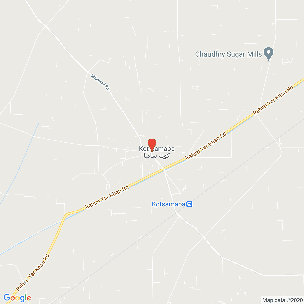 Kot Samaba