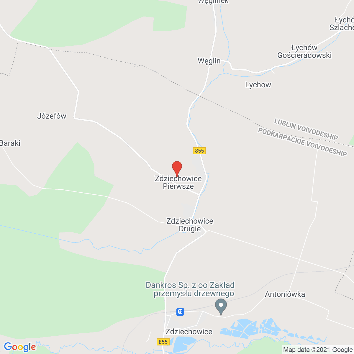 Zdziechowice Pierwsze