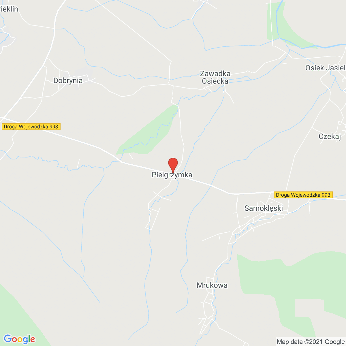 Pielgrzymka