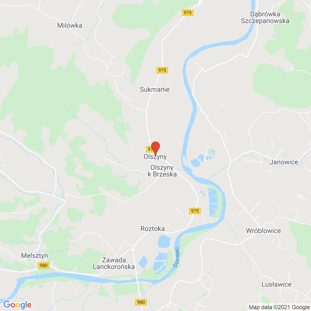 Olszyny