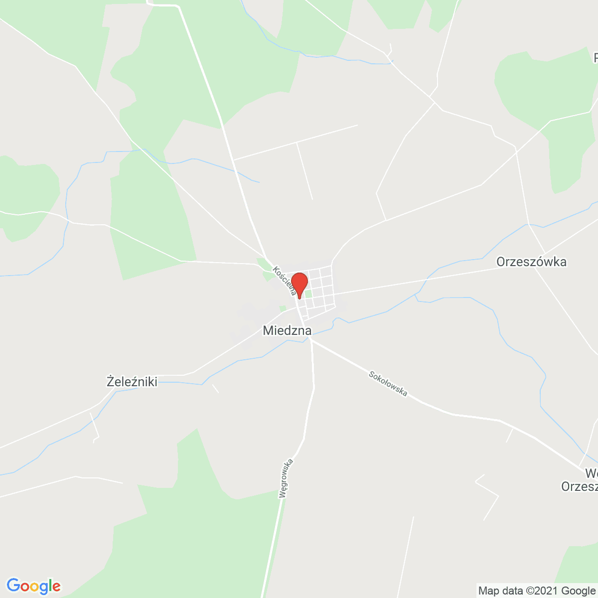 Miedzna