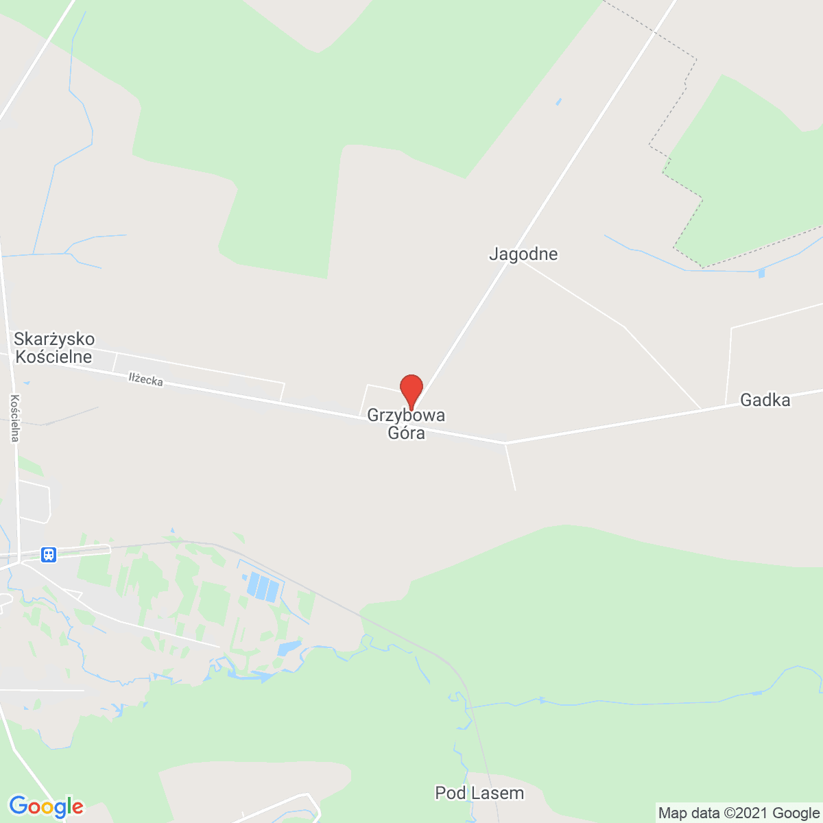 Grzybowa Góra