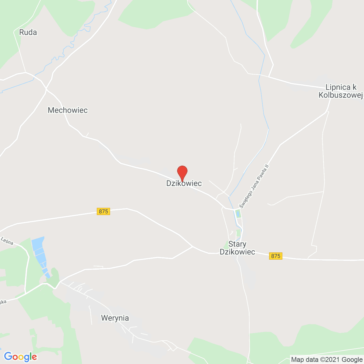 Dzikowiec