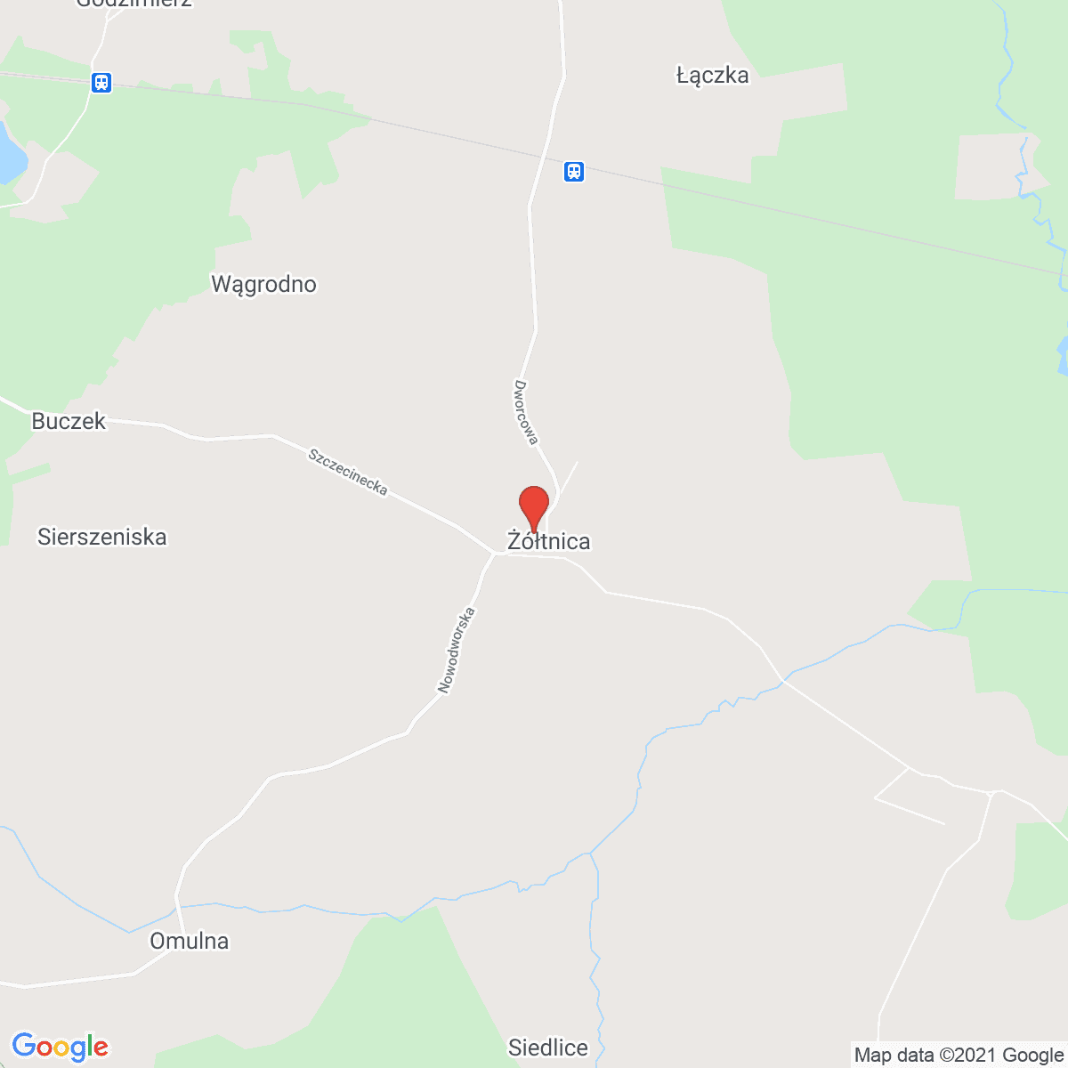 Żółtnica