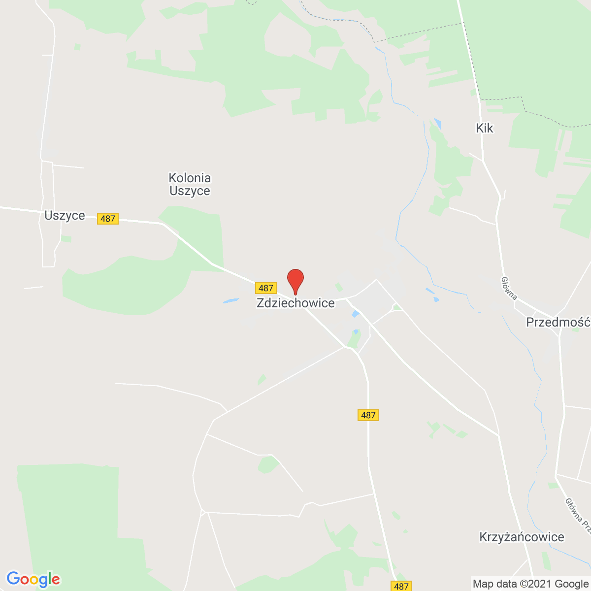 Zdziechowice