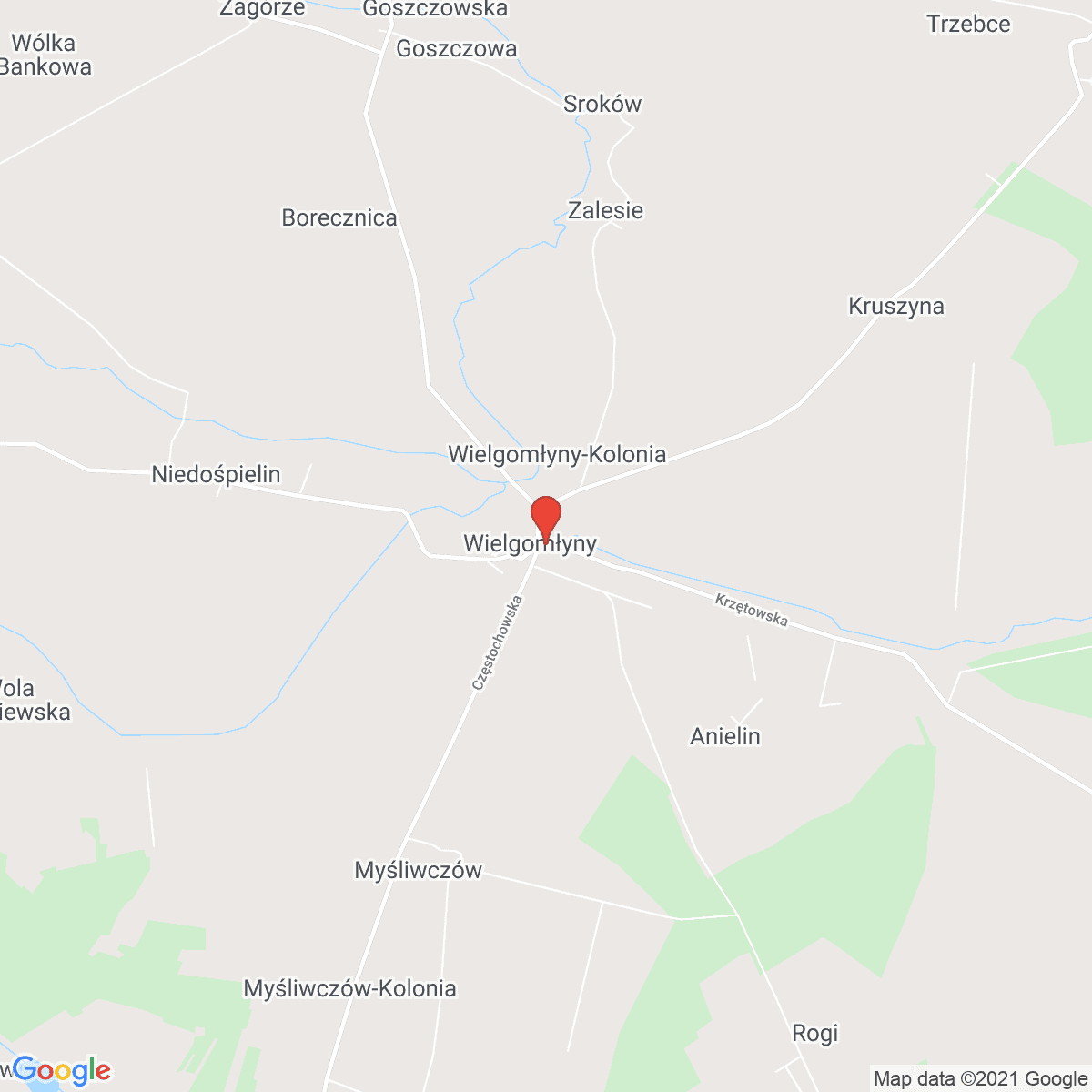 Wielgomłyny