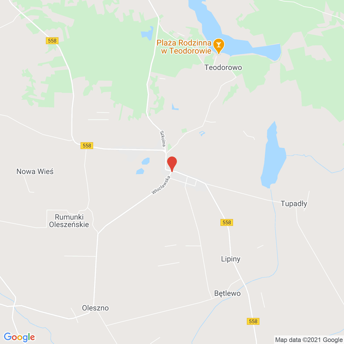 Wielgie