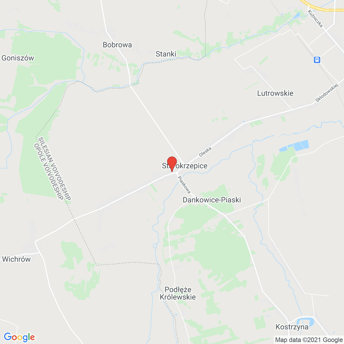 Starokrzepice
