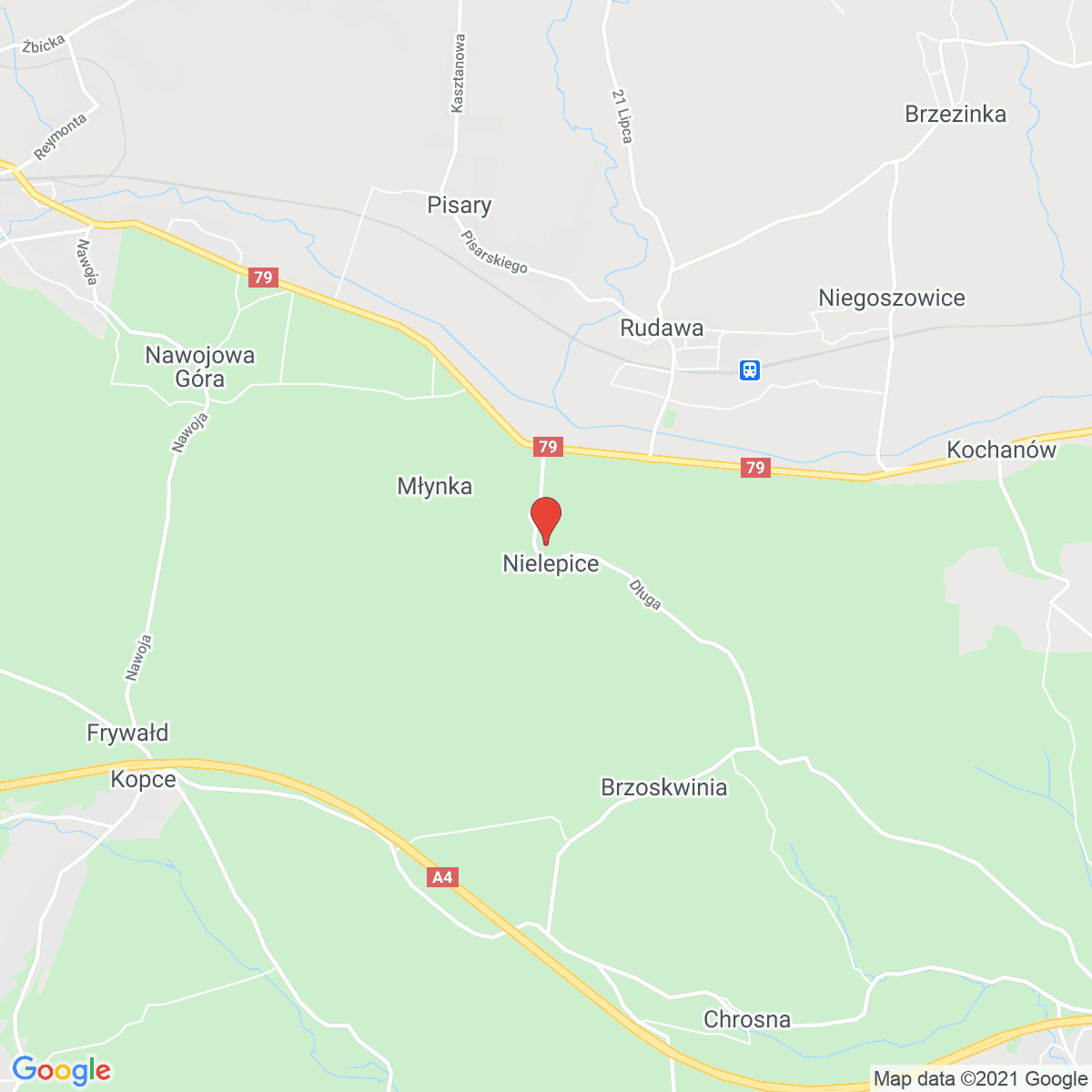 Nielepice