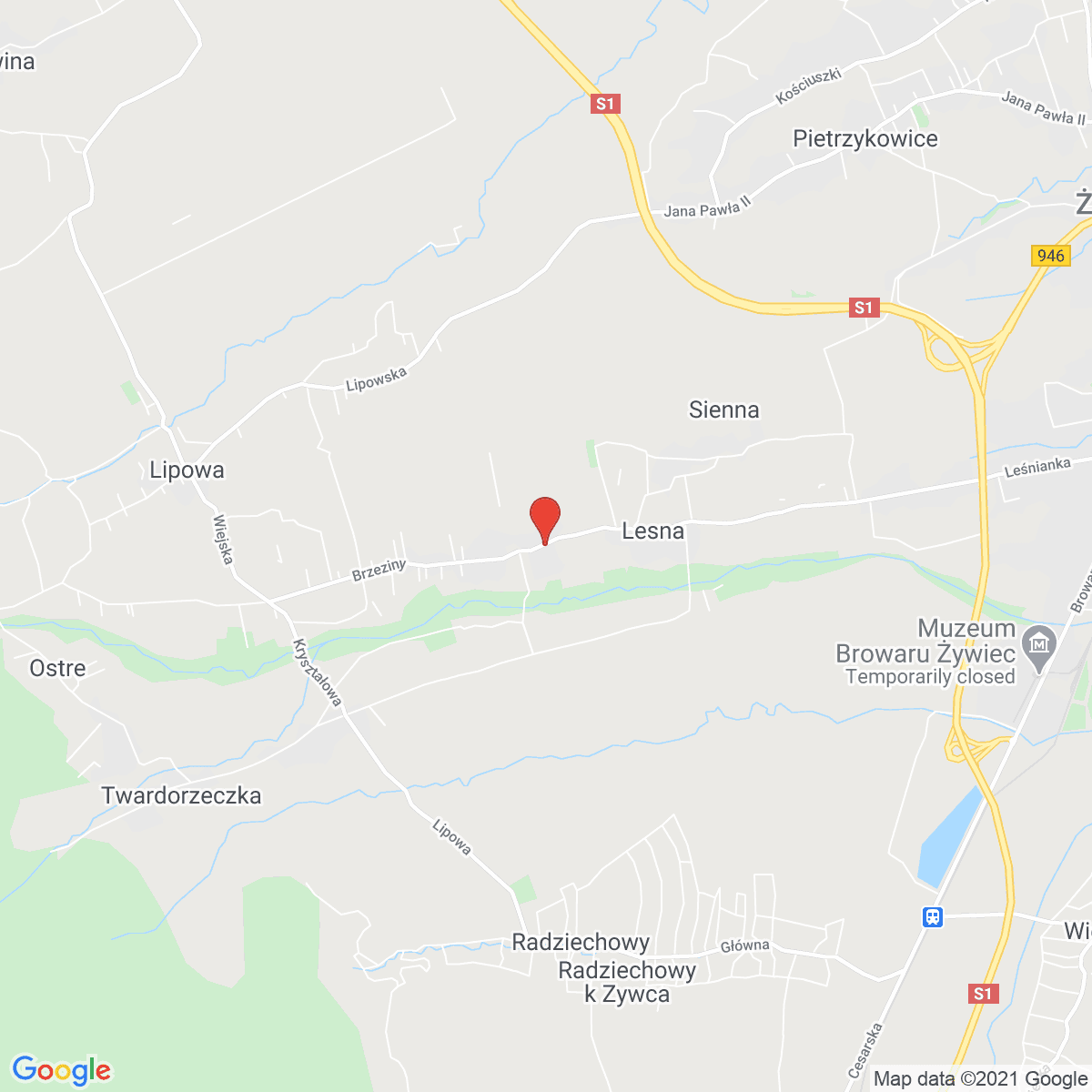 Leśna