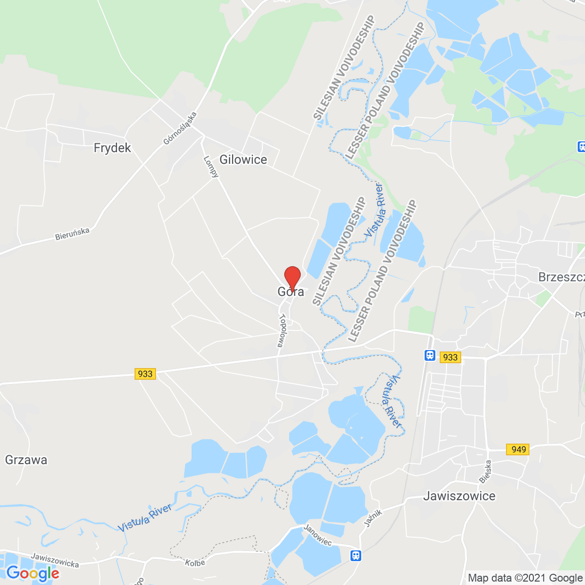 Góra