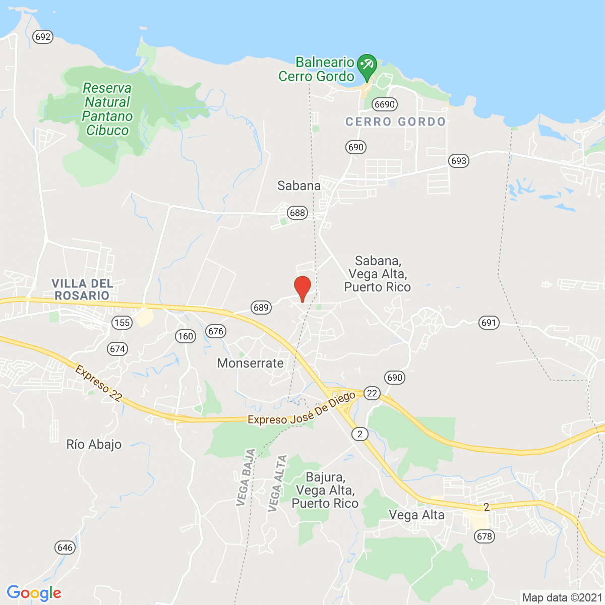 Ceiba