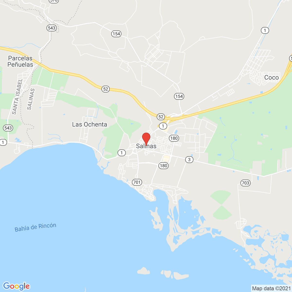 Salinas