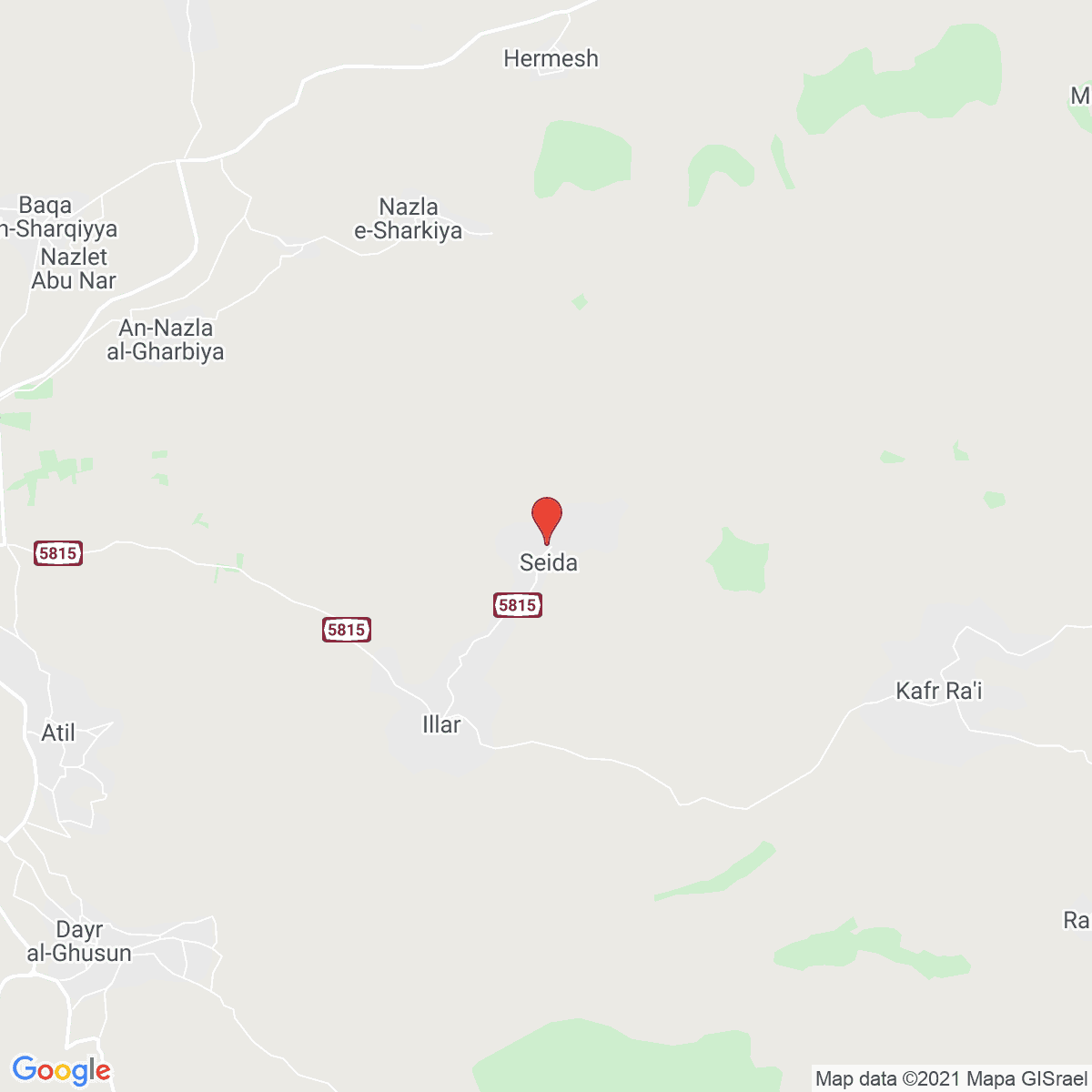 Şaydā