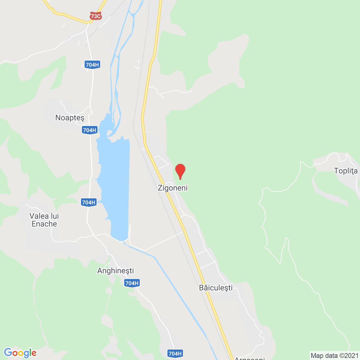 Zigoneni