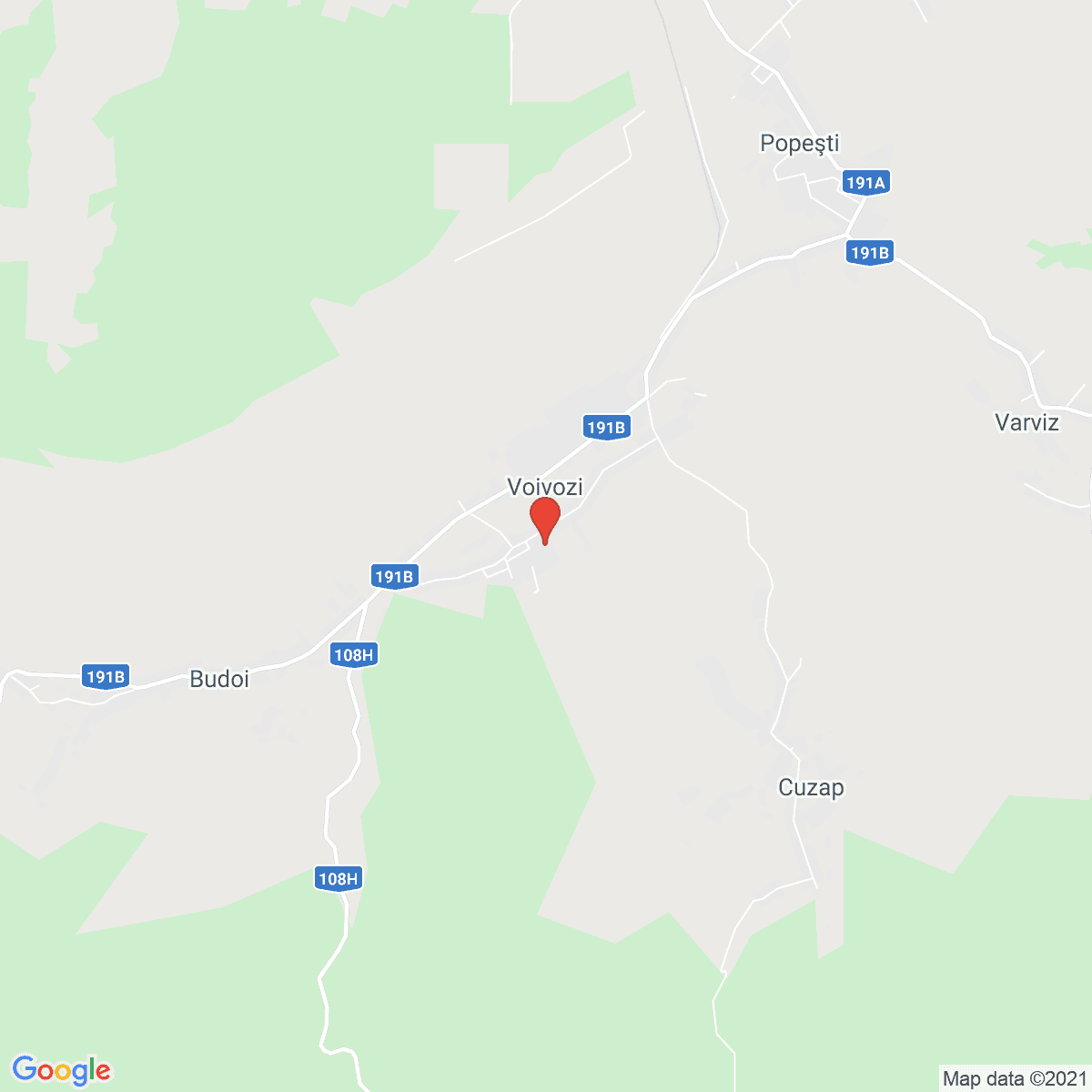Voivozi