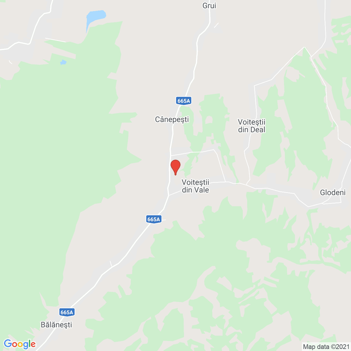 Voiteștii din Vale