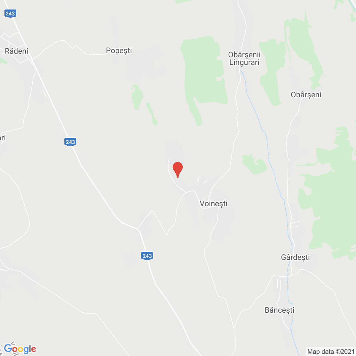 Voineşti