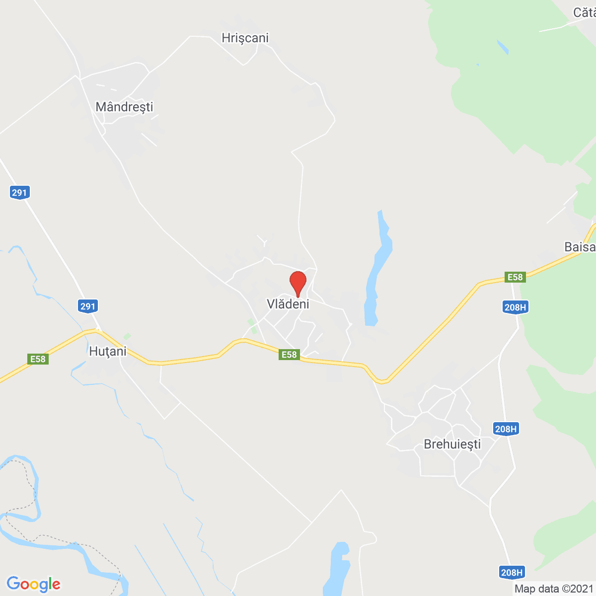 Vlădeni