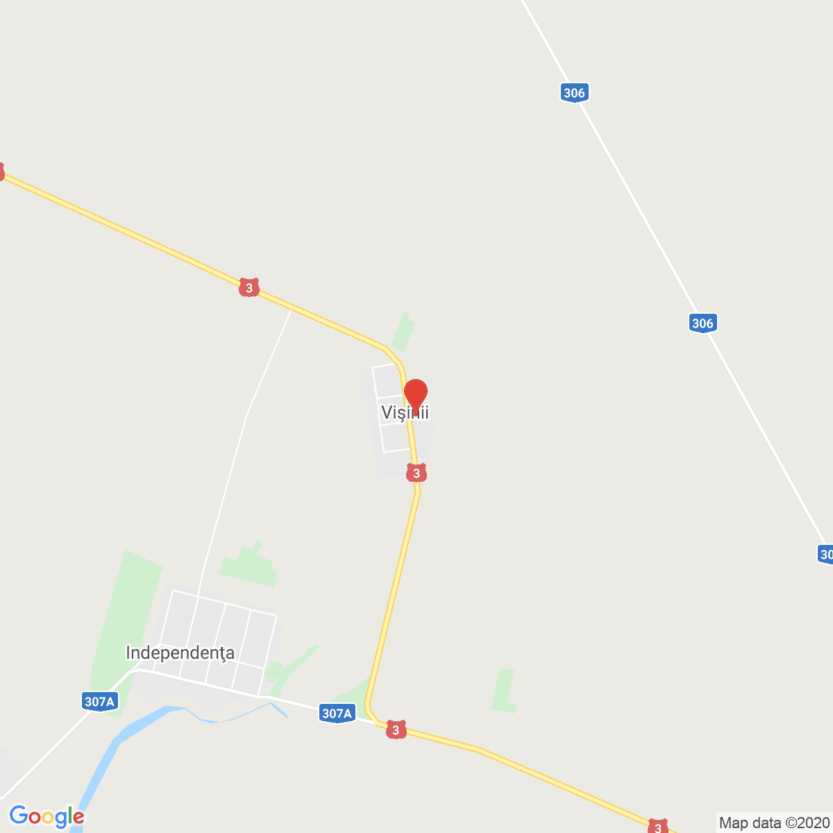 Vișinii