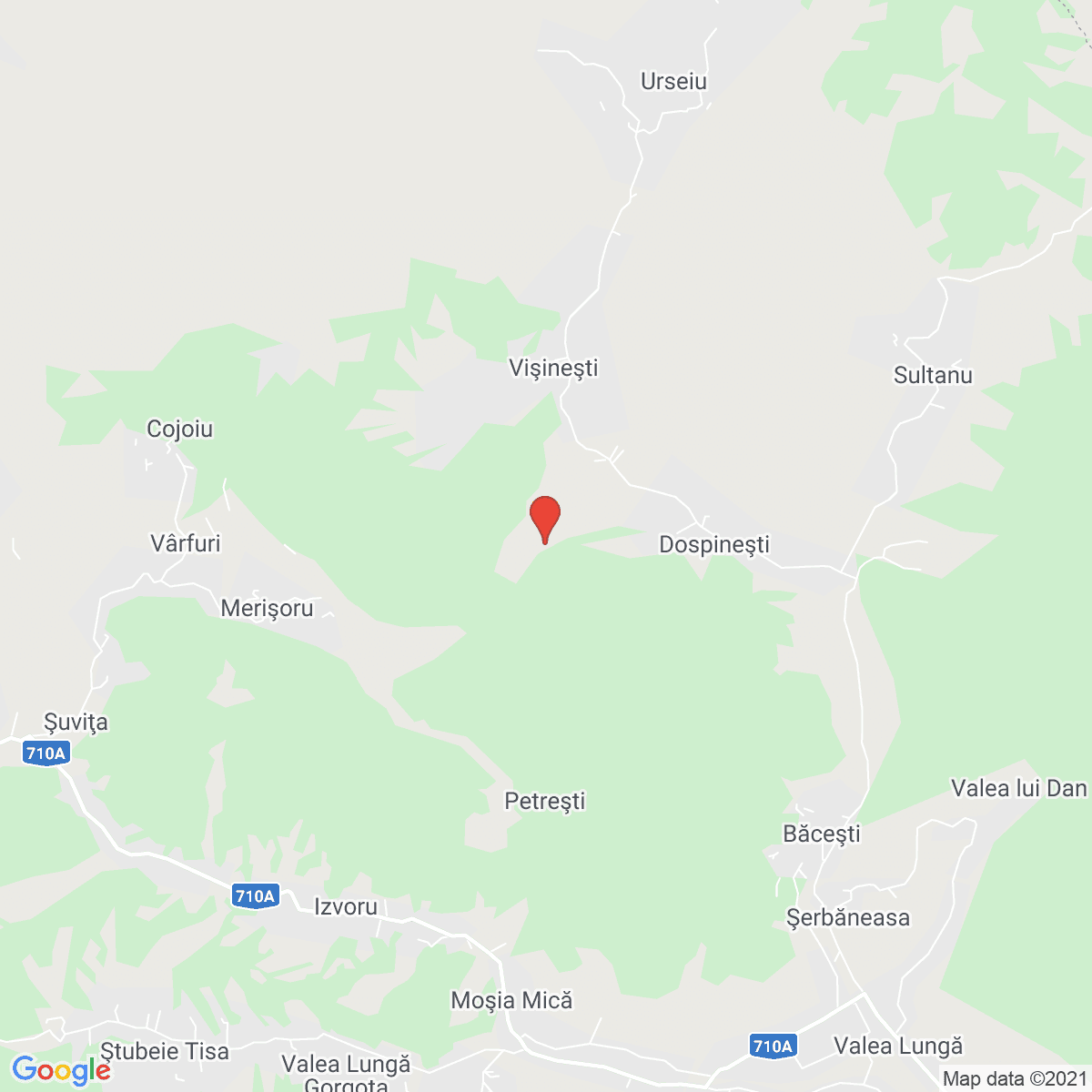 Vişineşti