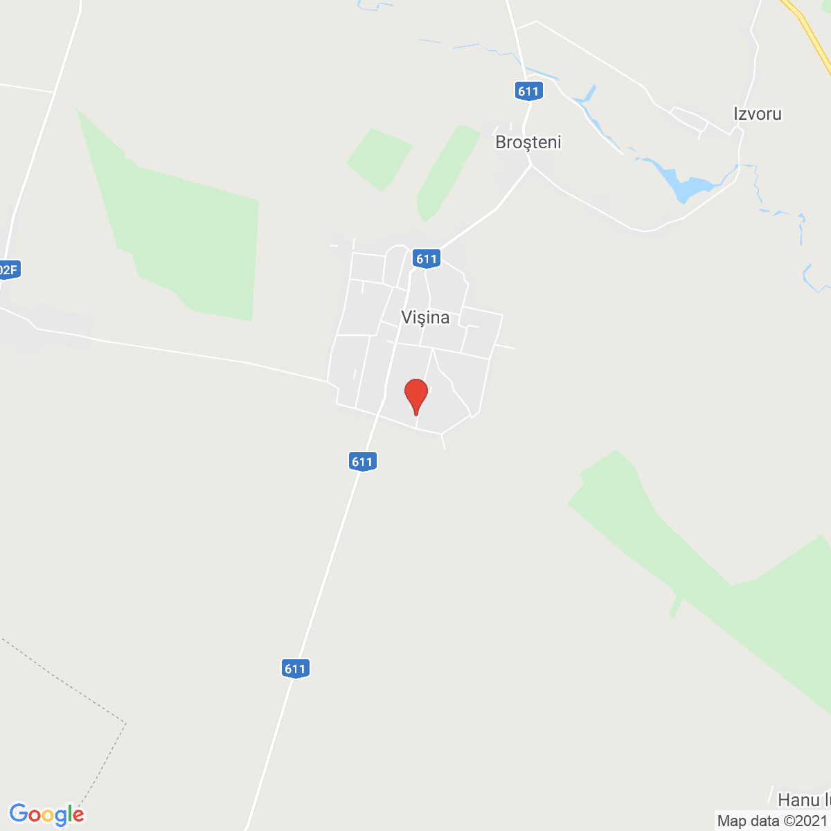 Vişina