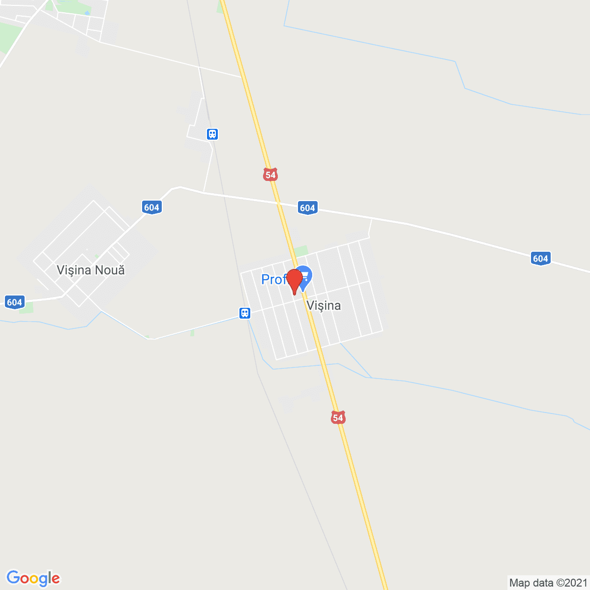 Vişina