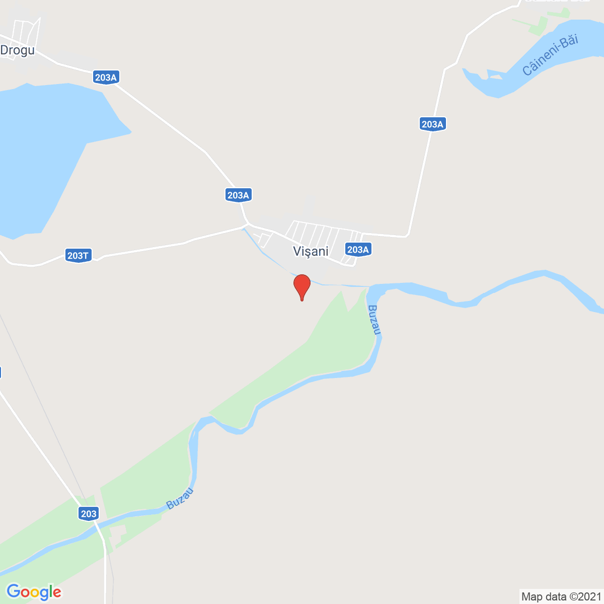 Vişani