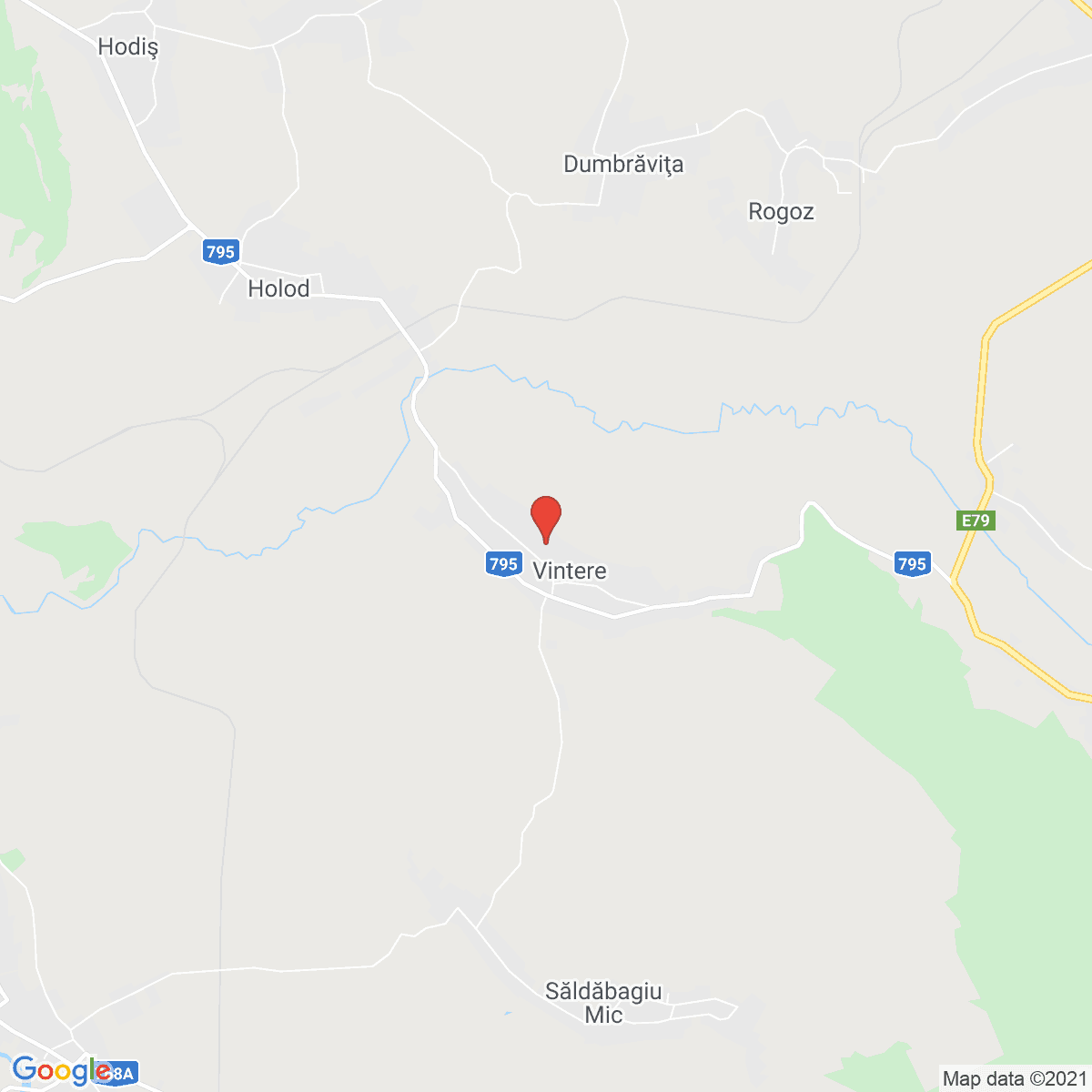 Vintere