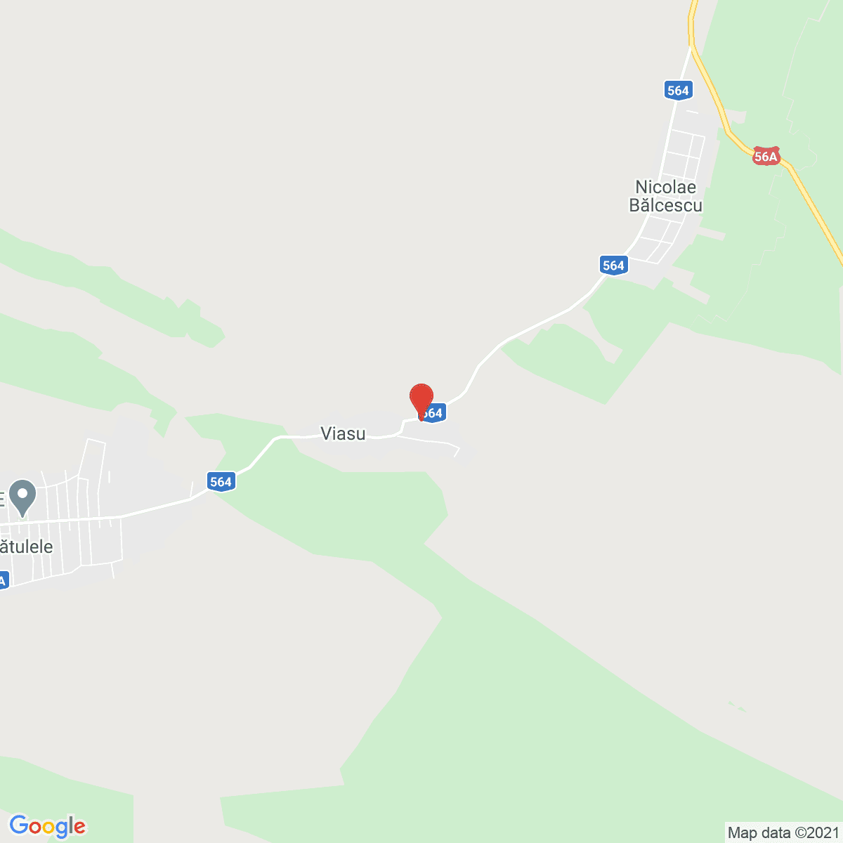 Viașu