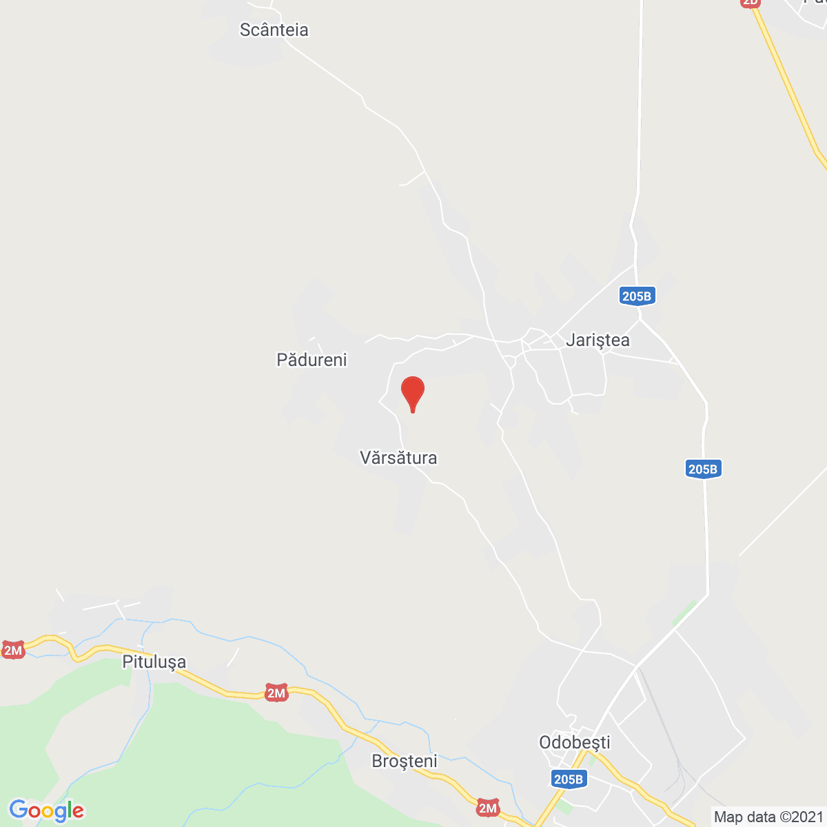 Vărsătura