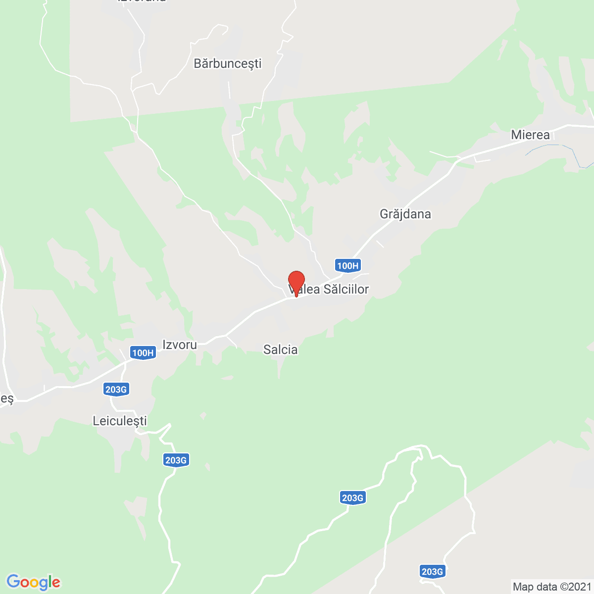 Valea Sălciilor