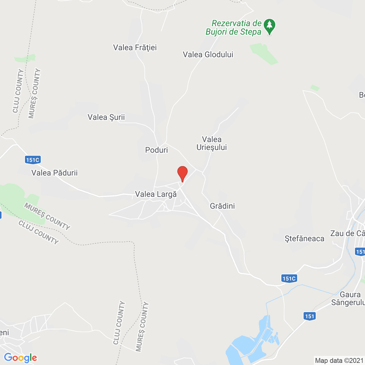 Valea Largă