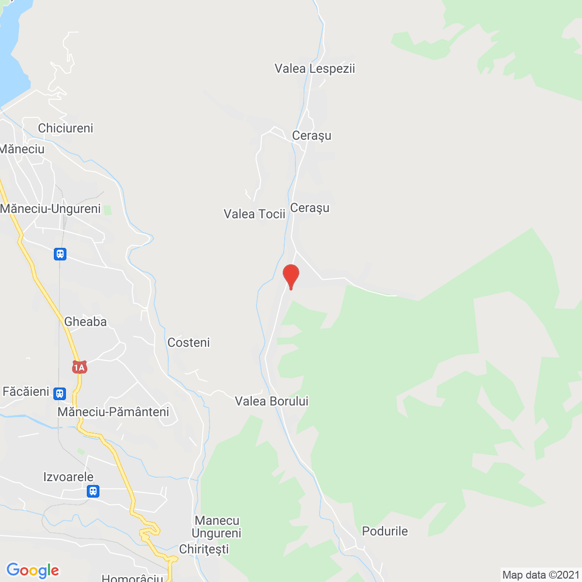 Valea Borului