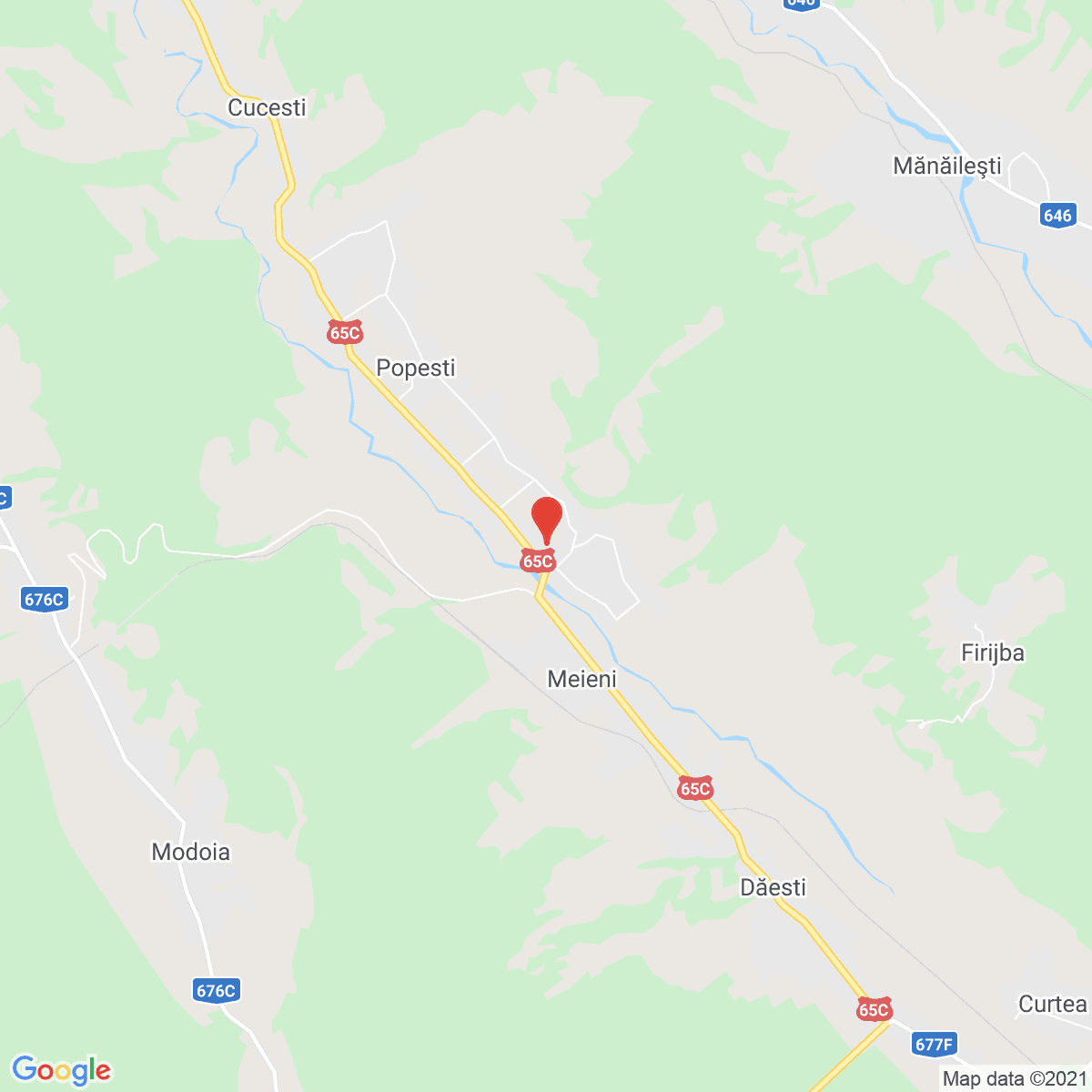 Urși