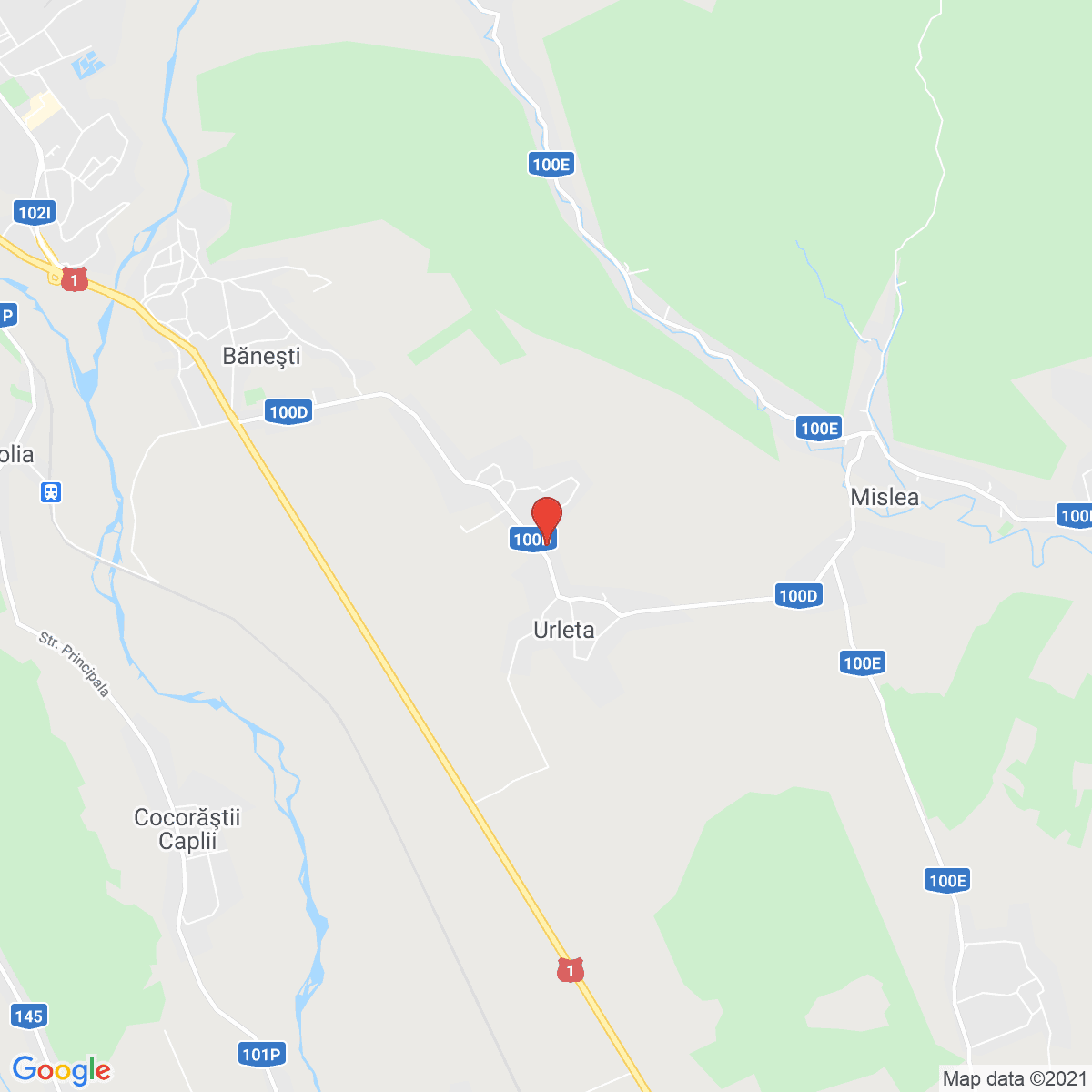 Urleta