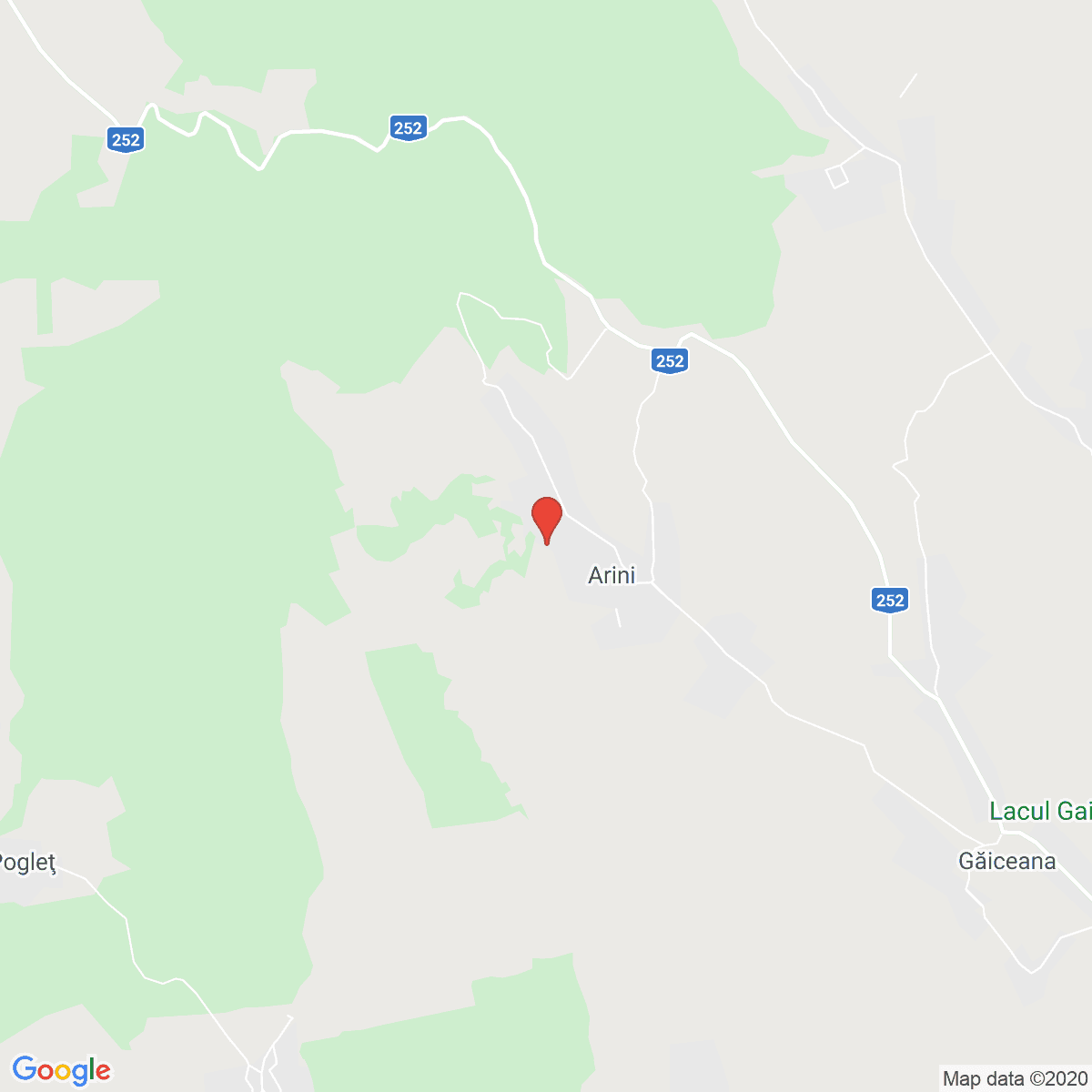 Arini