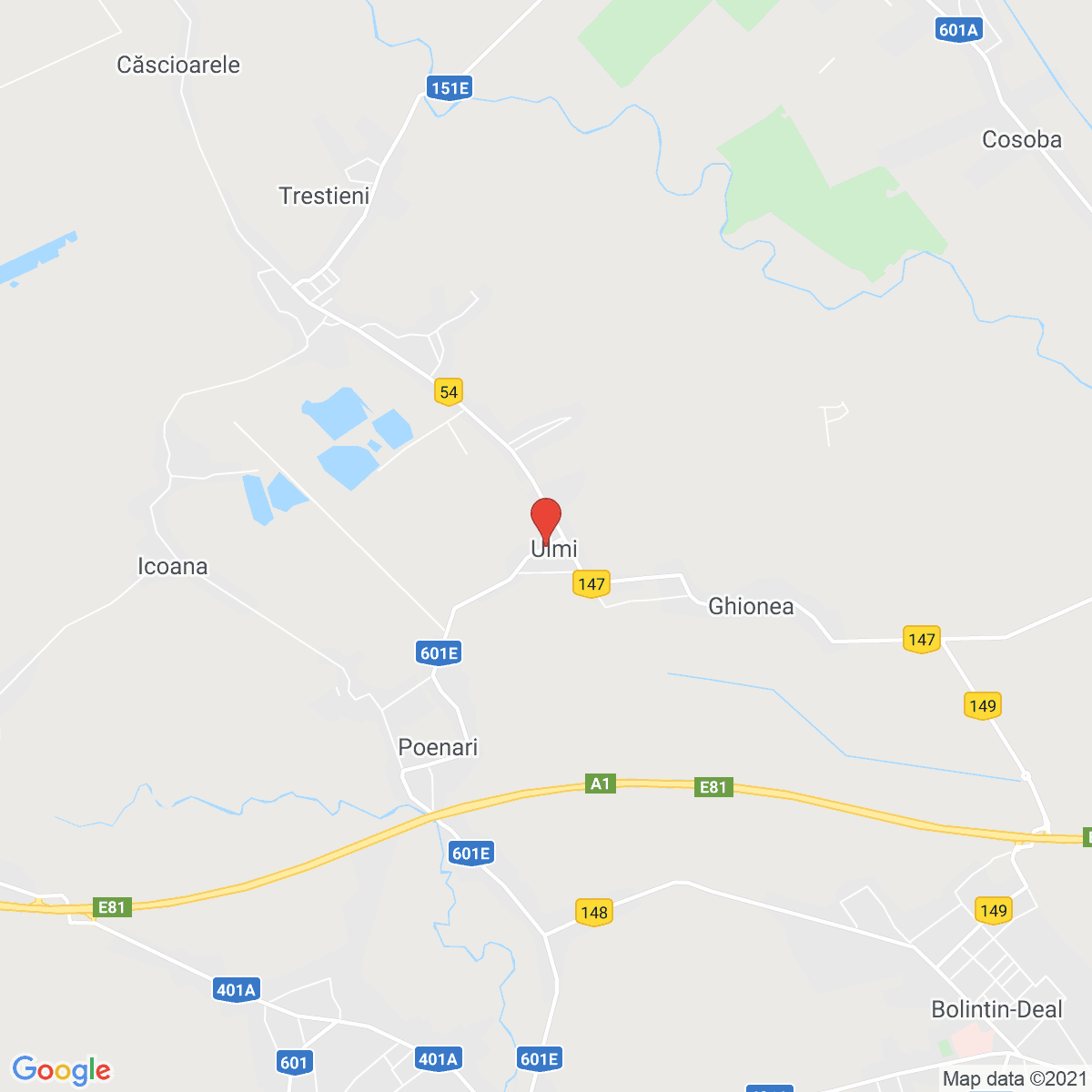 Ulmi