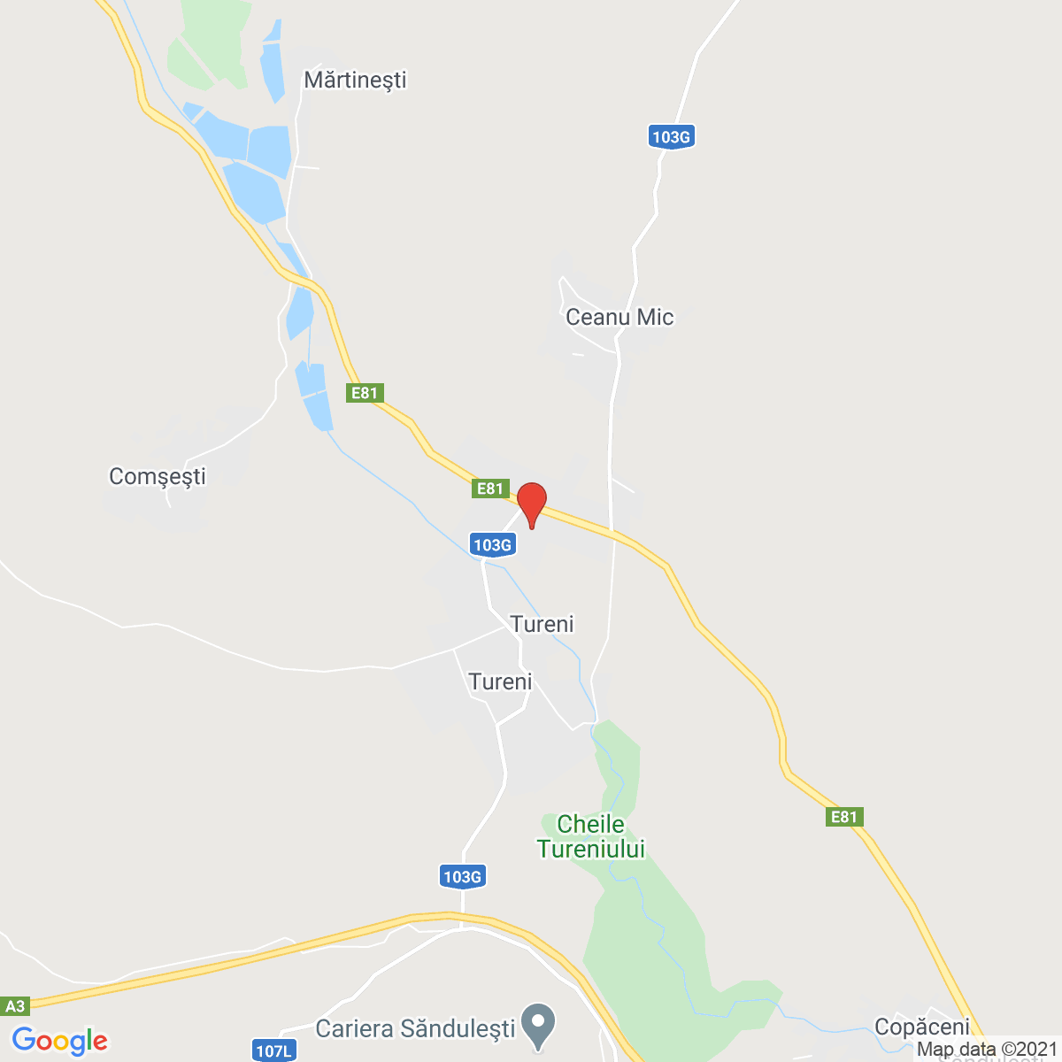 Tureni