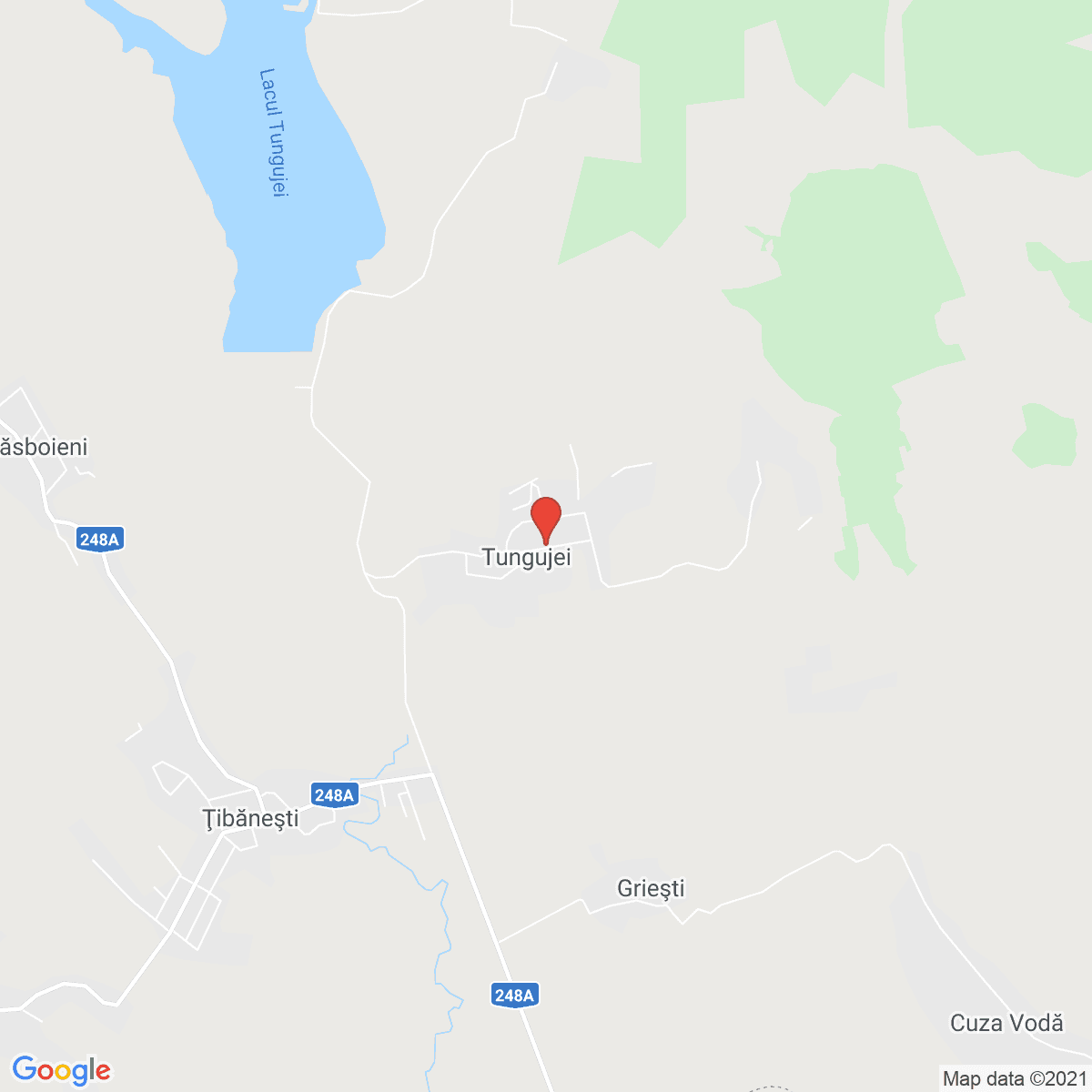 Tungujei