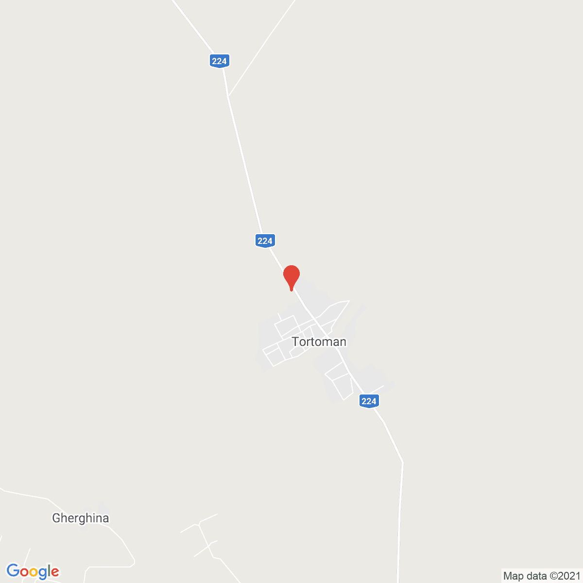 Tortoman