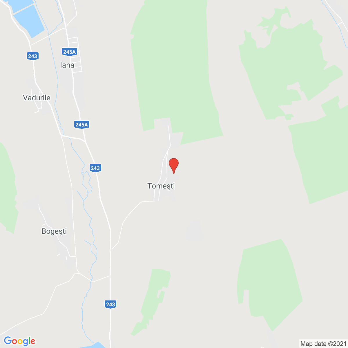 Tomești