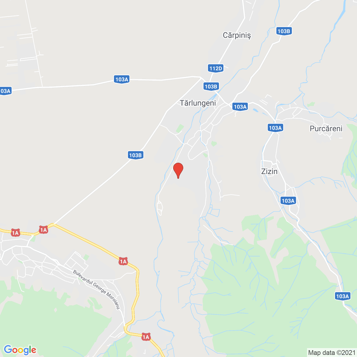 Tărlungeni