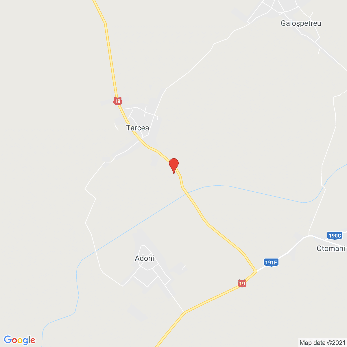 Tarcea