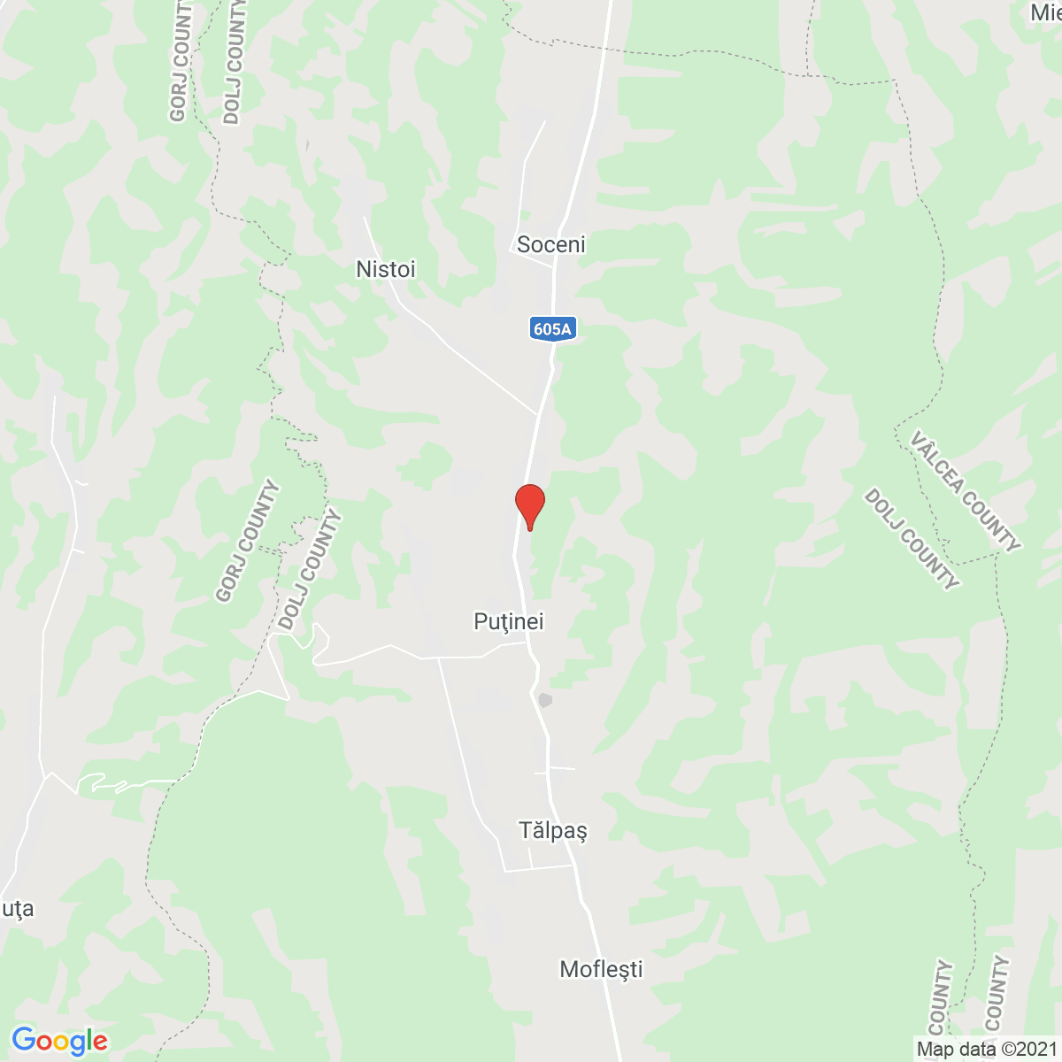 Tălpaș