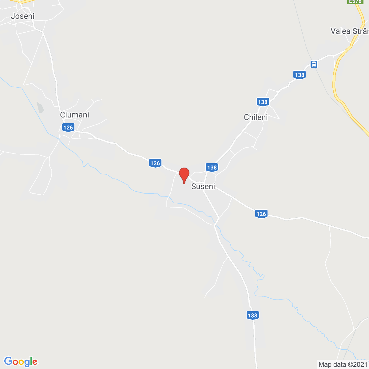 Suseni