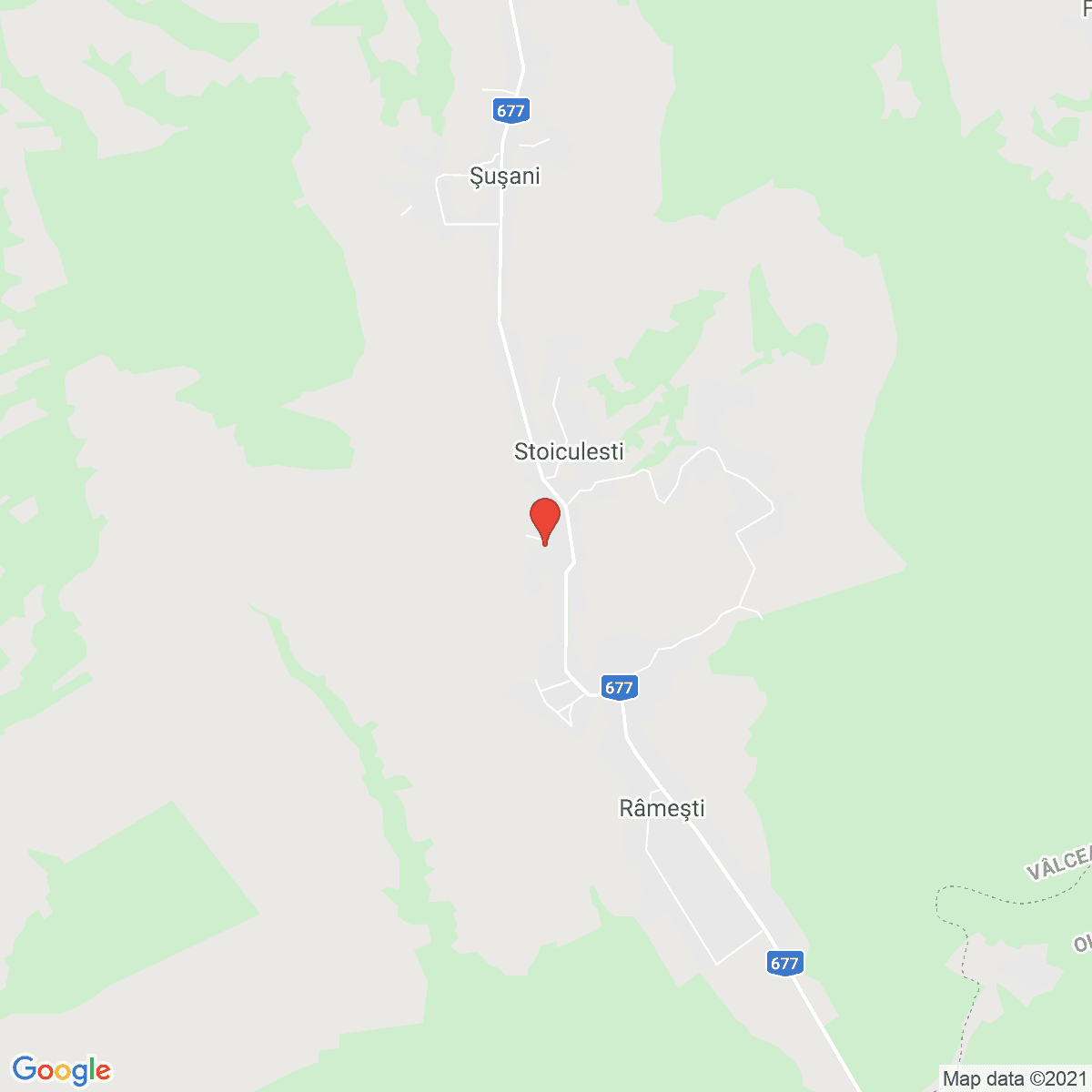 Şuşani