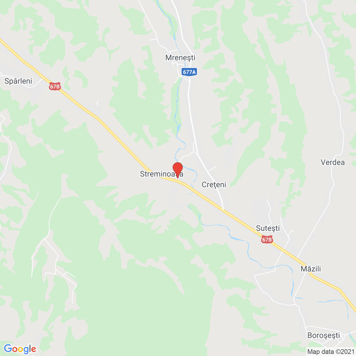 Streminoasa