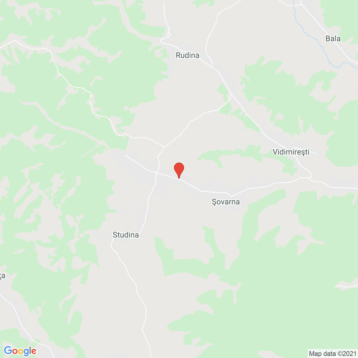 Şovarna