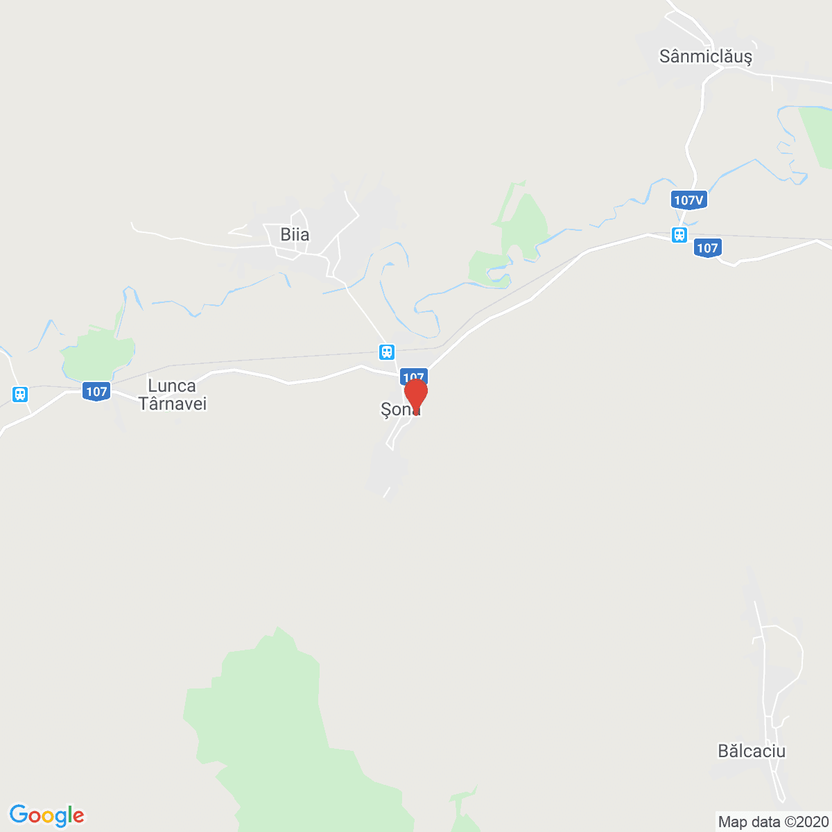 Şona